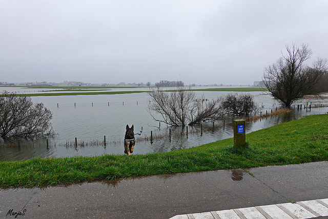 Tweede hoogwatergolf deze winter