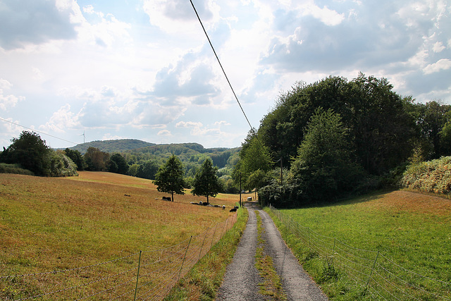 Im Brahm (Sprockhövel) / 16.08.2020