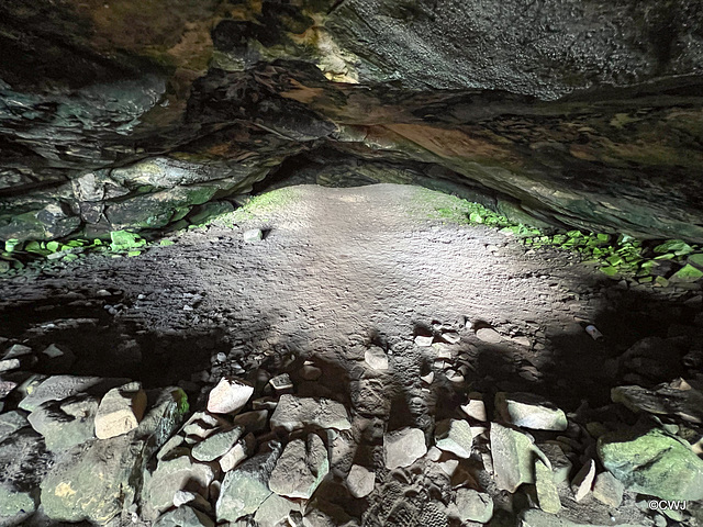 One of the many caves in this section of coat. Remains of a wall enclosing the inner portion is visible.