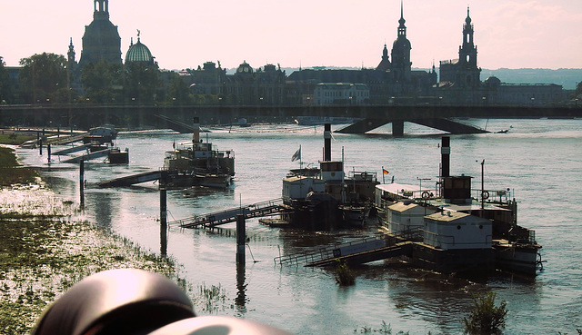 Elbe-Hochwasser in Dresden Elbe-Hochwasser in Dresden