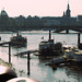 Elbe-Hochwasser in Dresden