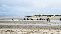 Niederlande / Belgien - Het Zwin