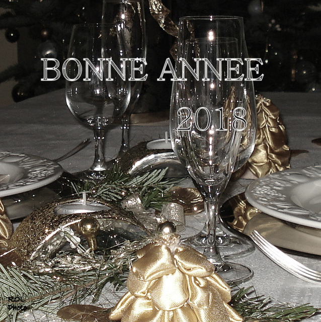 Bonne année 2018