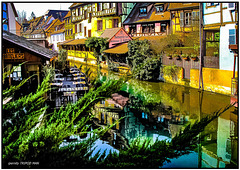 Colmar