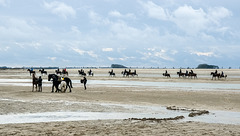 Niederlande / Belgien - Het Zwin