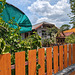 Clôture et végétation / Fence and vegetation