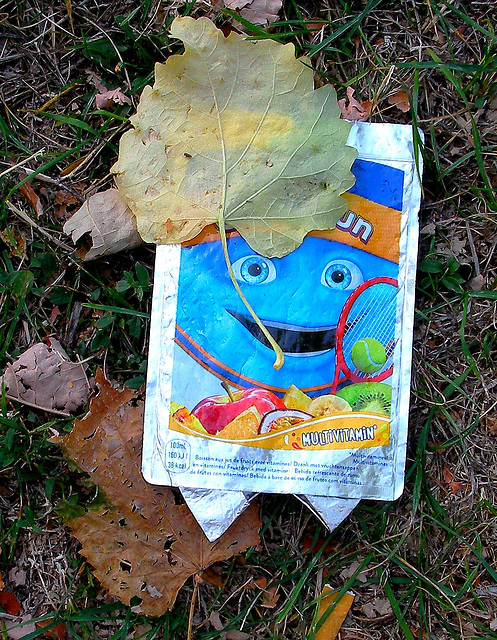 ... vive l'automne ... ... vive l'automne ...