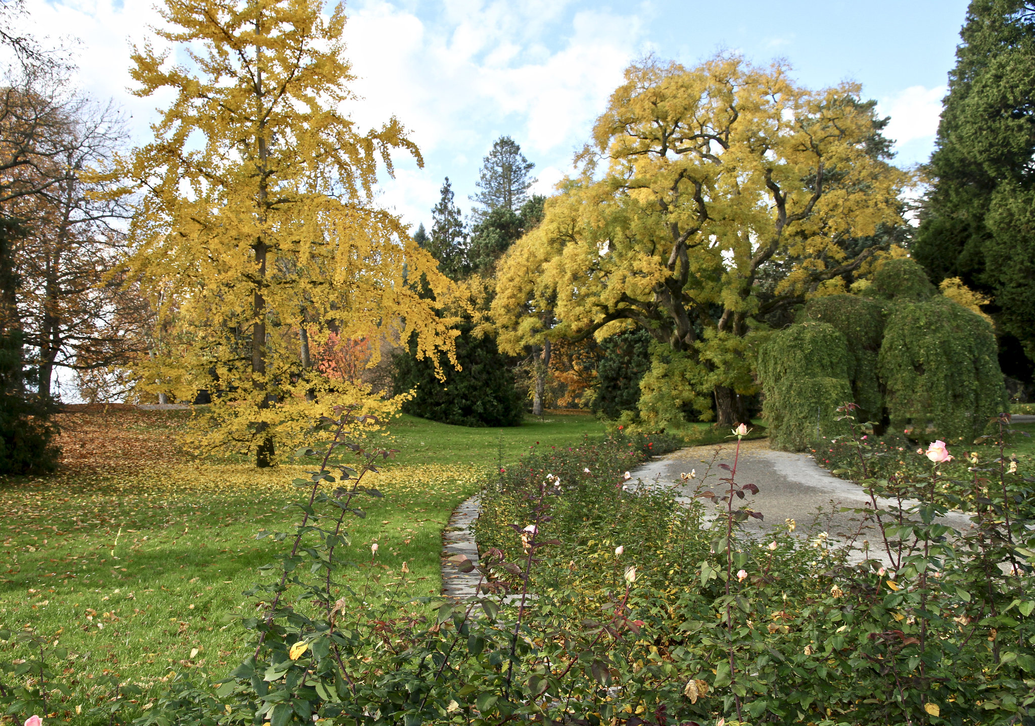 Im Park auf der Insel Mainau