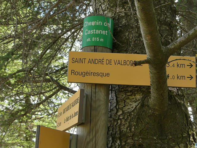 20190622 Rando solo St André de Valborgne (Cevennes) (168)