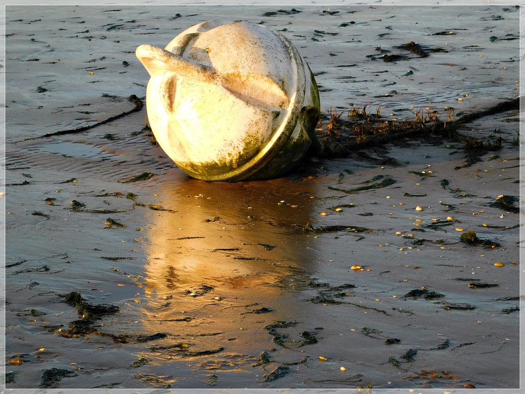 Reflets sur la plage abandonnée ..............................(22)