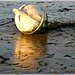 Reflets sur la plage abandonnée ..............................(22)