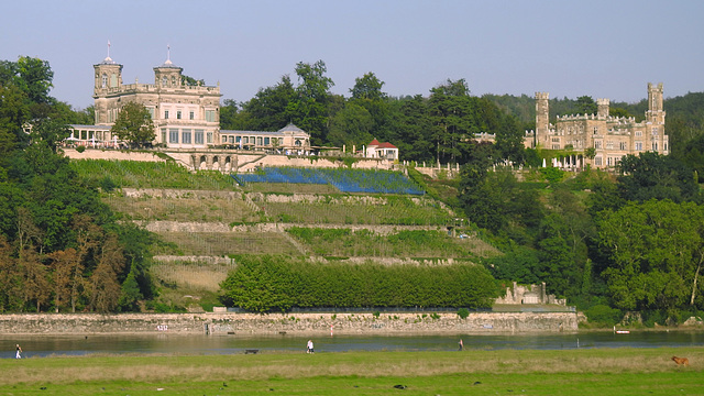 Lingnerschloss mit Weinberg und Schloss Eckberg, Dresden