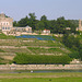 Lingnerschloss mit Weinberg und Schloss Eckberg, Dresden