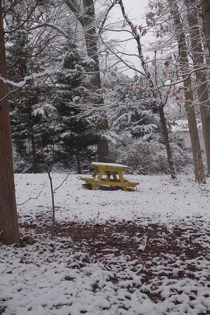 Yellow Picnic Table in the snow