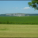 Whitbarrow Scar from afar