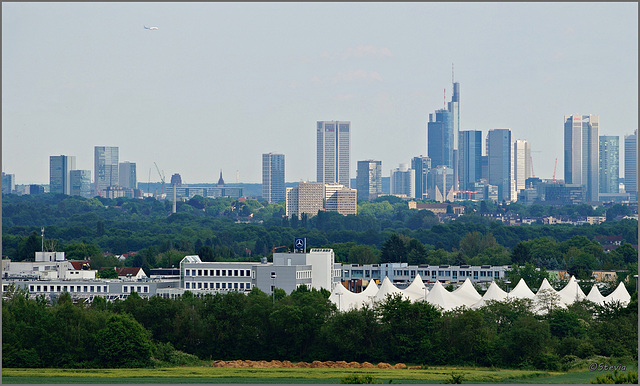 Frankfurt am Main - Blick zum Bankenviertel