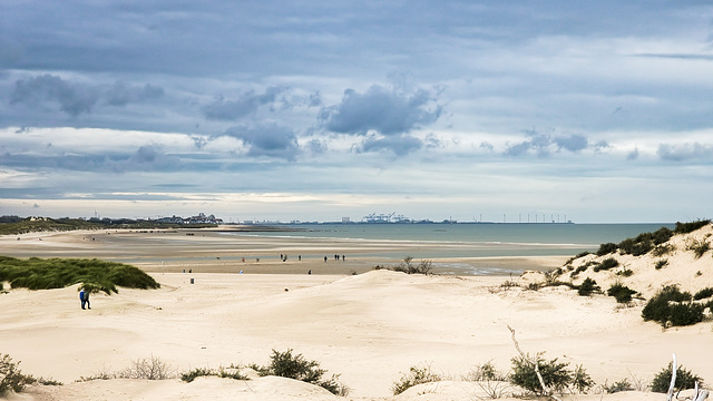 Niederlande / Belgien - Het Zwin