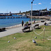 Wollongong benches Wollongong benches