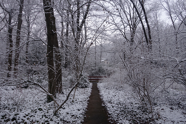 Winter pathway