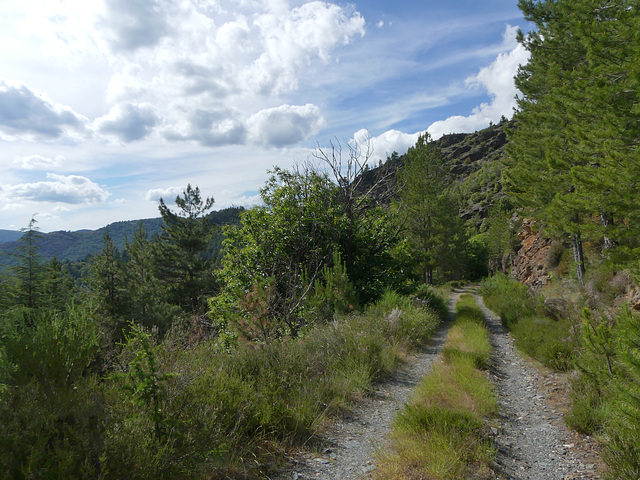 20190622 Rando solo St André de Valborgne (Cevennes) (174)