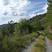 20190622 Rando solo St André de Valborgne (Cevennes) (174)