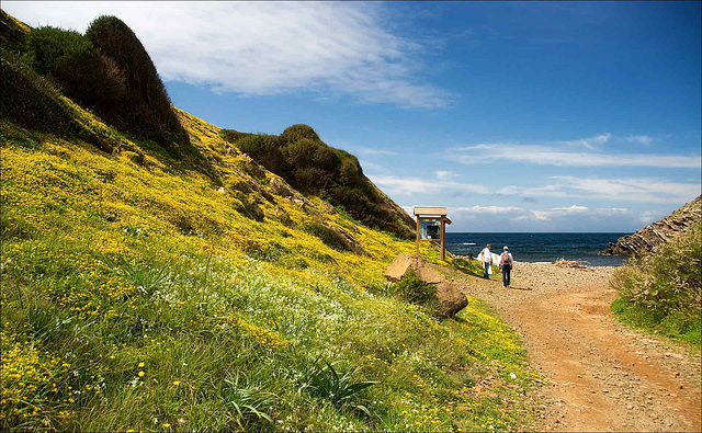 Approaching the Beach