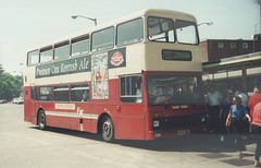 East Kent Road Car Co 7810 (H810 BKK) - 30 June 1995 (Ref 274-19)