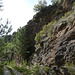 20190622 Rando solo St André de Valborgne (Cevennes) (175)