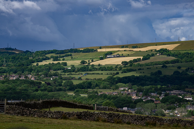 The farmers are getting the grass cut between the showers