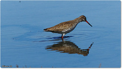 PARC du TEICH (33 Gironde)