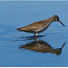 PARC du TEICH (33 Gironde)