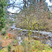 Killin, River Dochart