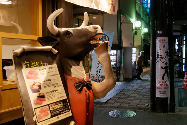 Kyoto by night (7)