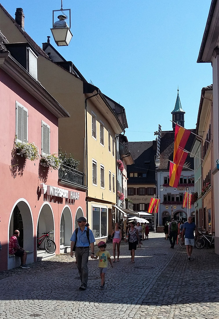Motorcycle Excursion Elsass / Black Forest