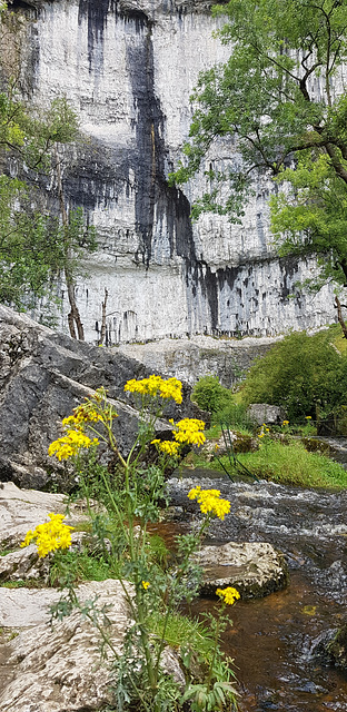 Malham Cove