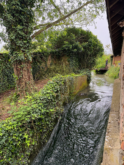 Riviere à Vertus Blancs Coteaux