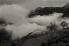 Ser arbre per veure-ho tot