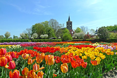 Nederland - Limmen, Hortus Bulborum