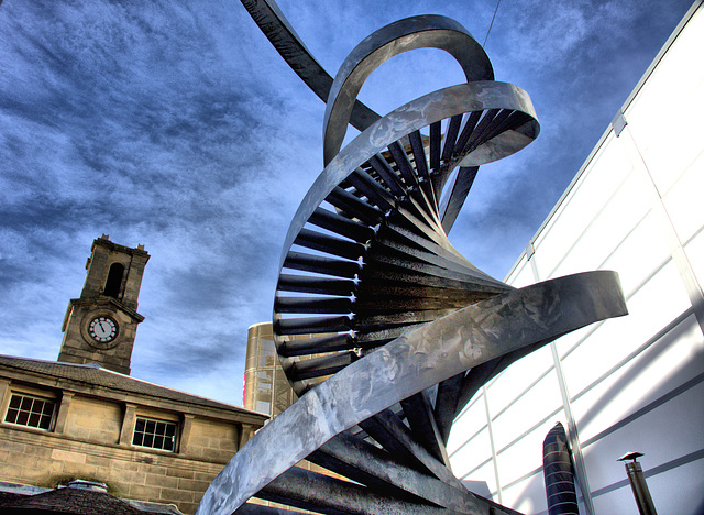 Sculpture, Curves and Lines at Newcastle Centre For Life