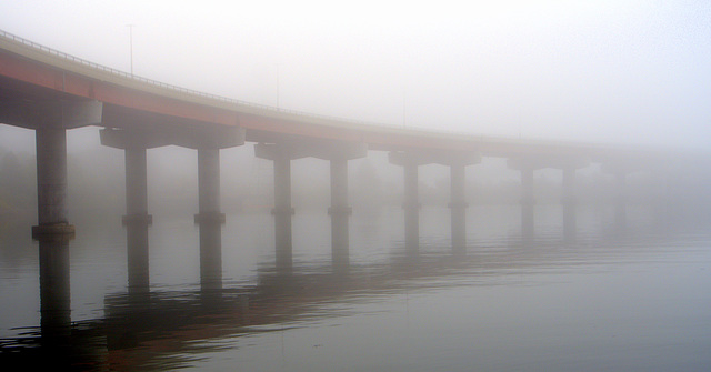 Casco Bay Bridge in fog