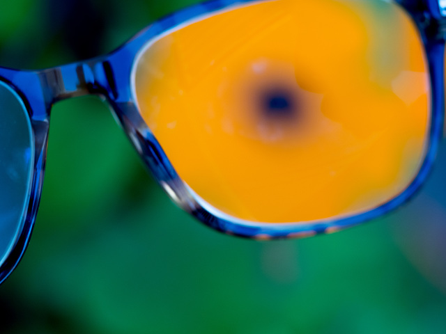 SSC- Thunbergia Through the Looking Glass
