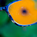 SSC- Thunbergia Through the Looking Glass