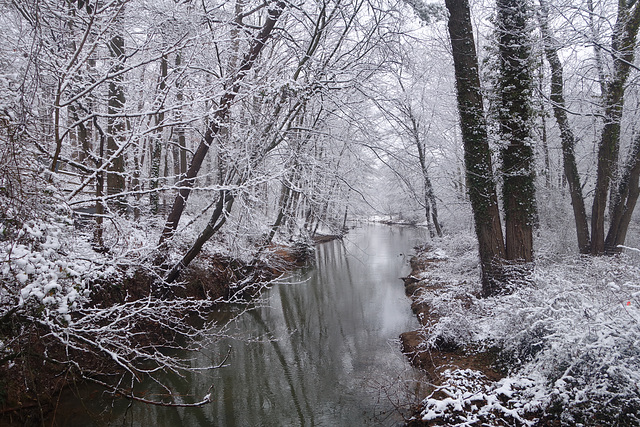 Snowy creek