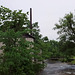 Historique Moulin Babcock / Historic Babcock Mill.