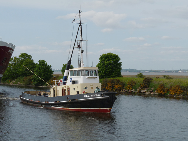 M.S.C. Tug 'Viceroy'