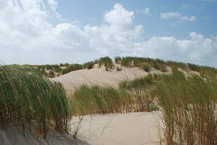 île de ré