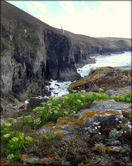 Wheal Coates tin mine cliffs from Tubby's Head.