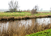 Kanal im Geestland