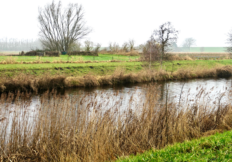 Kanal im Geestland