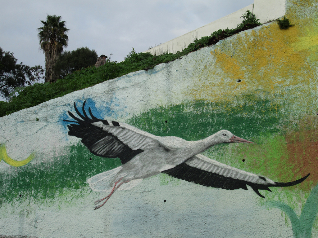 Stork in mural.